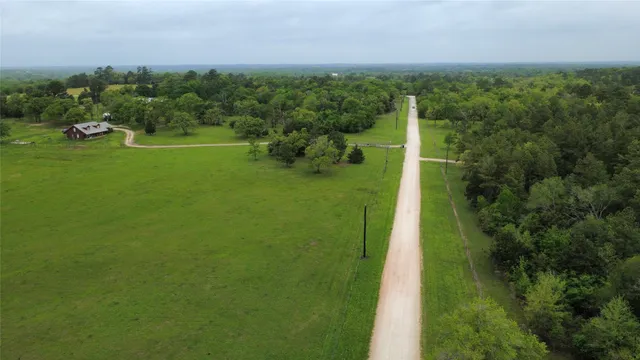 a view of a grassy area with an trees