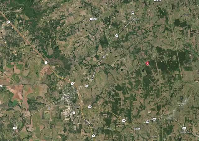 a close up of a tree