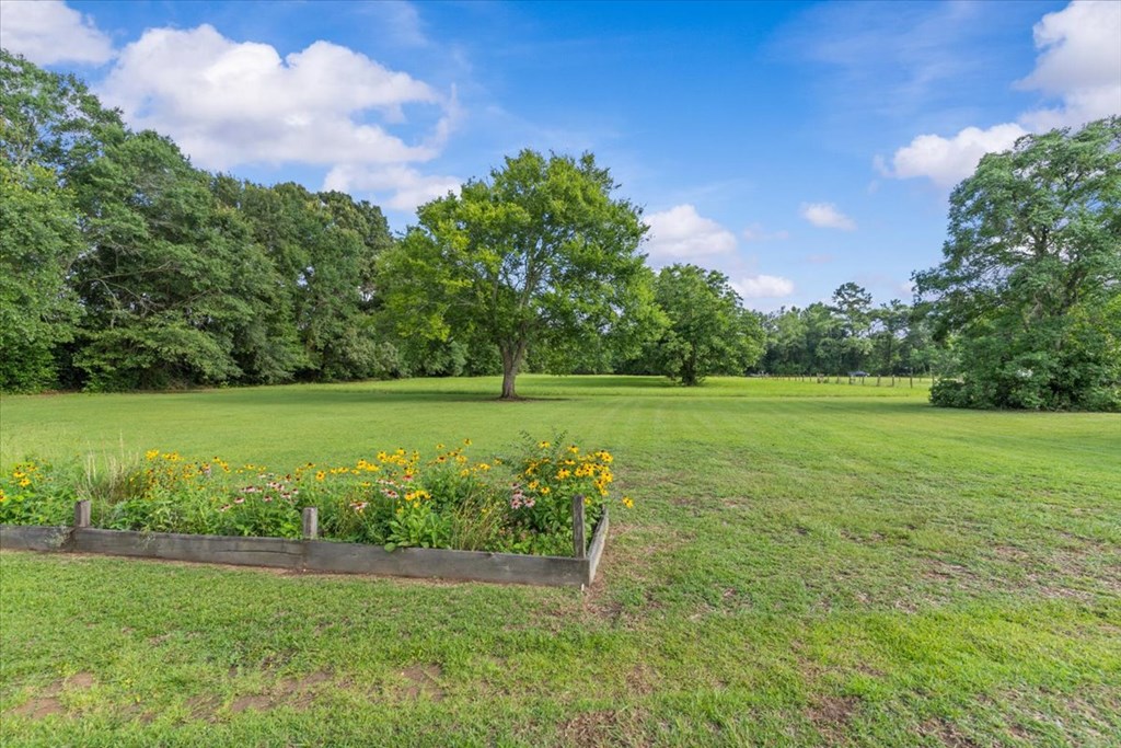 1316 Prevatt Road Dothan, AL 36301 - Photo 5 of 55