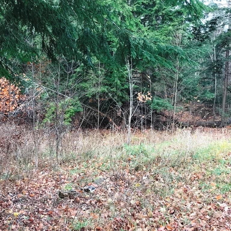 Parcels A & B South Richter Road Suttons Bay, MI 49682 - Photo 14 of 22 1917693-13.JPG