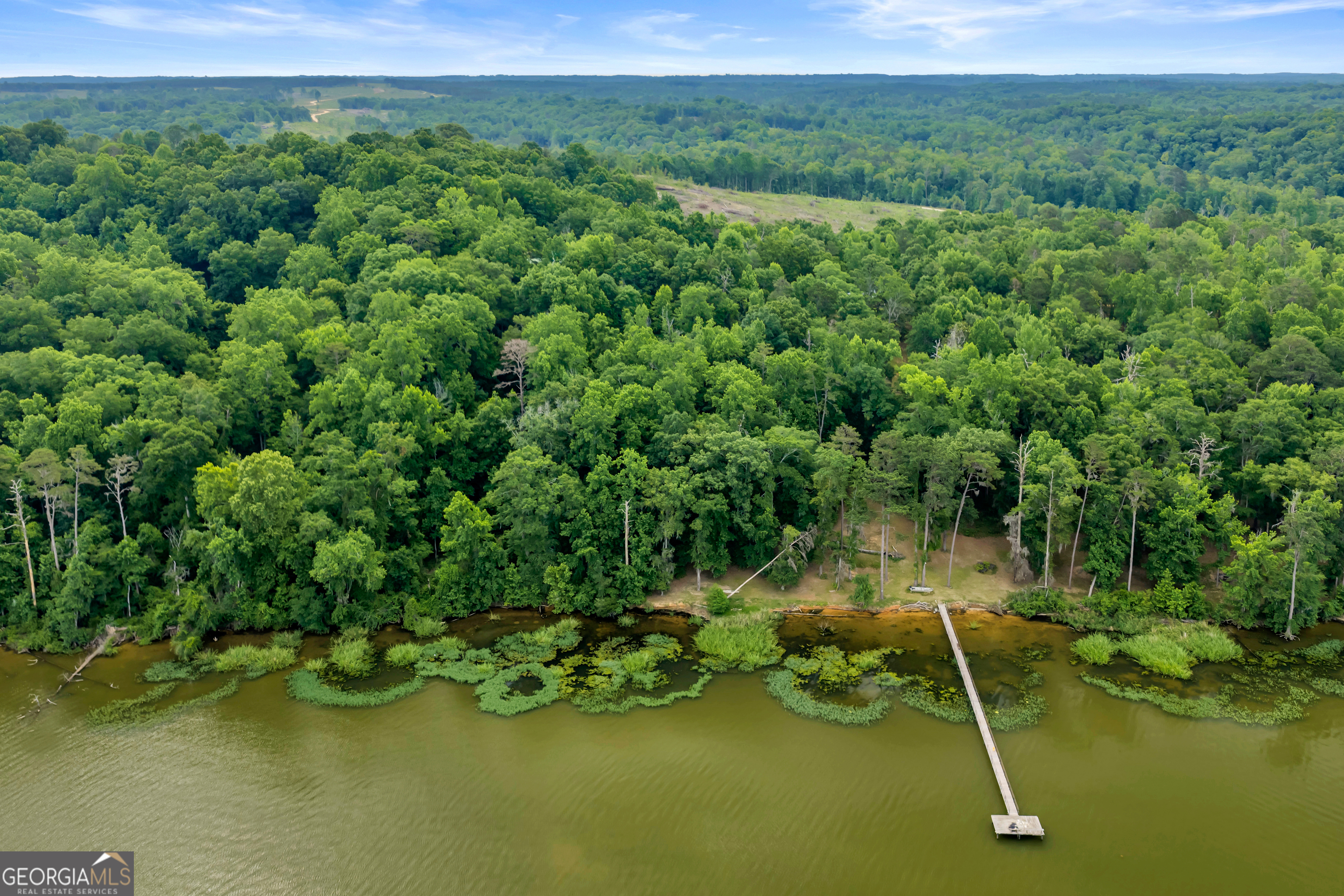 473 Vining Branch Road Georgetown, GA 39854 - Photo 26 of 43 a view of a golf course with chairs