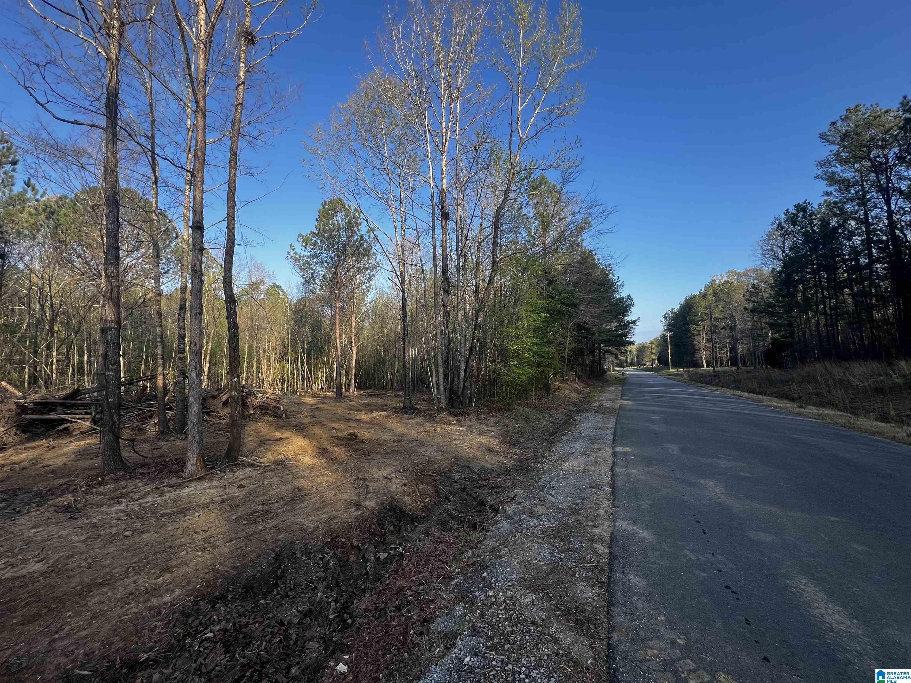 0 Francis Mill Road, Unit TRACT #1 Ohatchee, AL 36271 - Photo 1 of 4