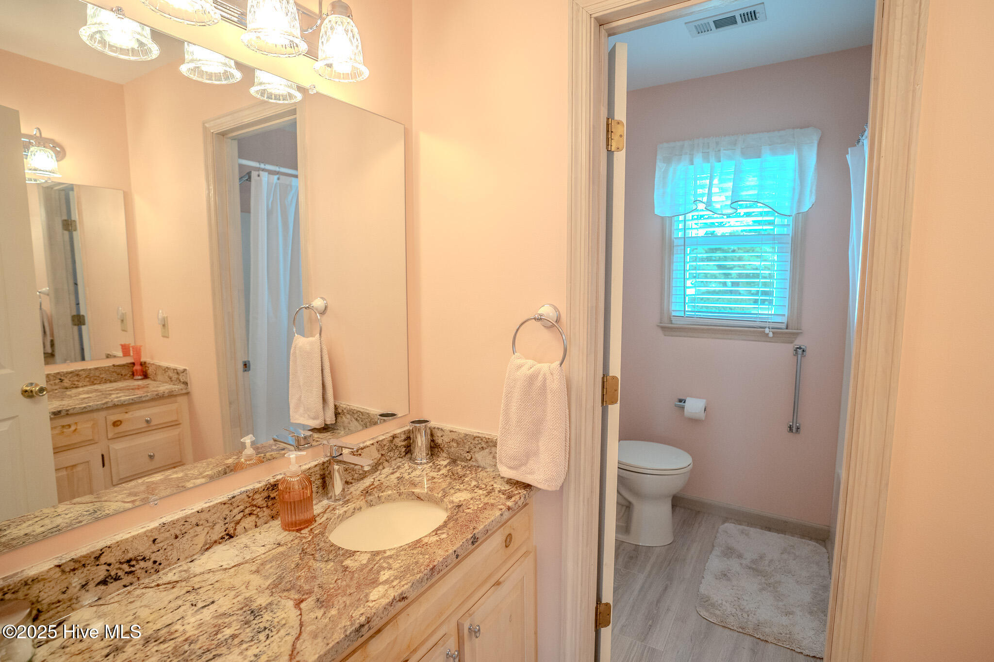 1171 Mt Pleasant Road Swansboro, NC 28584 - Photo 21 of 38 DSC07631