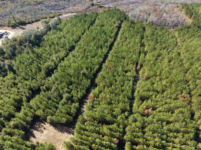 a view of a green field