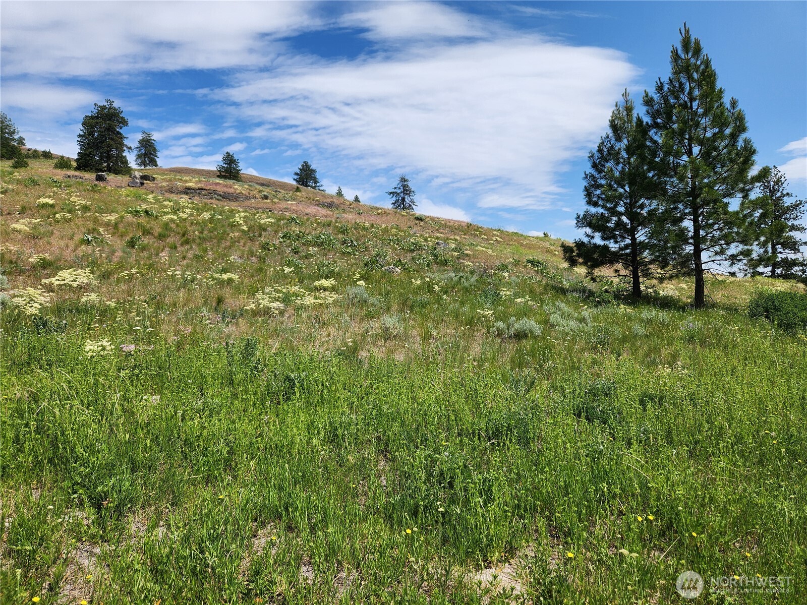 999 Roundabout Road Tonasket, WA 98855 - Photo 3 of 8