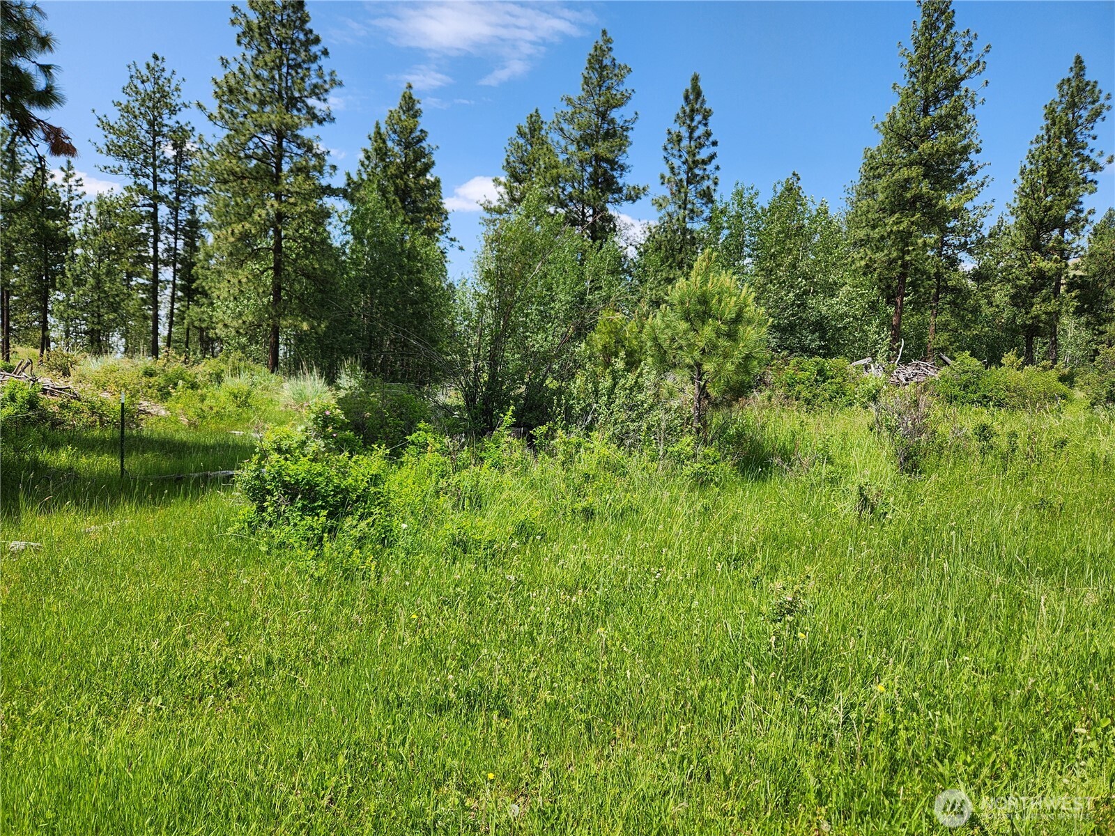 999 Roundabout Road Tonasket, WA 98855 - Photo 4 of 8