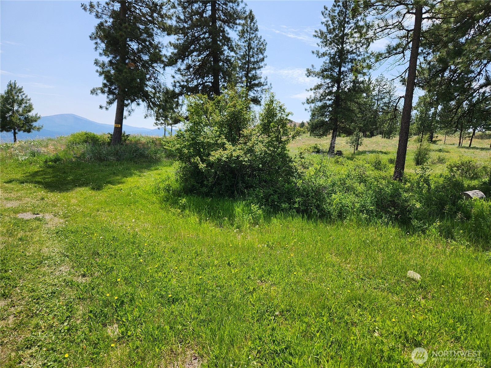 999 Roundabout Road Tonasket, WA 98855 - Photo 5 of 8