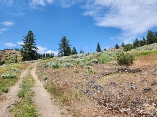 999 Roundabout Road Tonasket, WA 98855 - Photo 8 of 8