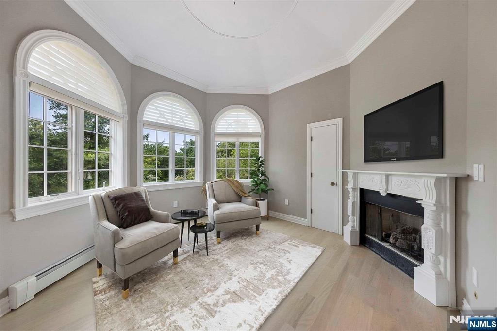 5 Ellen's Way Alpine, NJ 07620 - Photo 31 of 49 a living room with furniture a fireplace and a flat screen tv