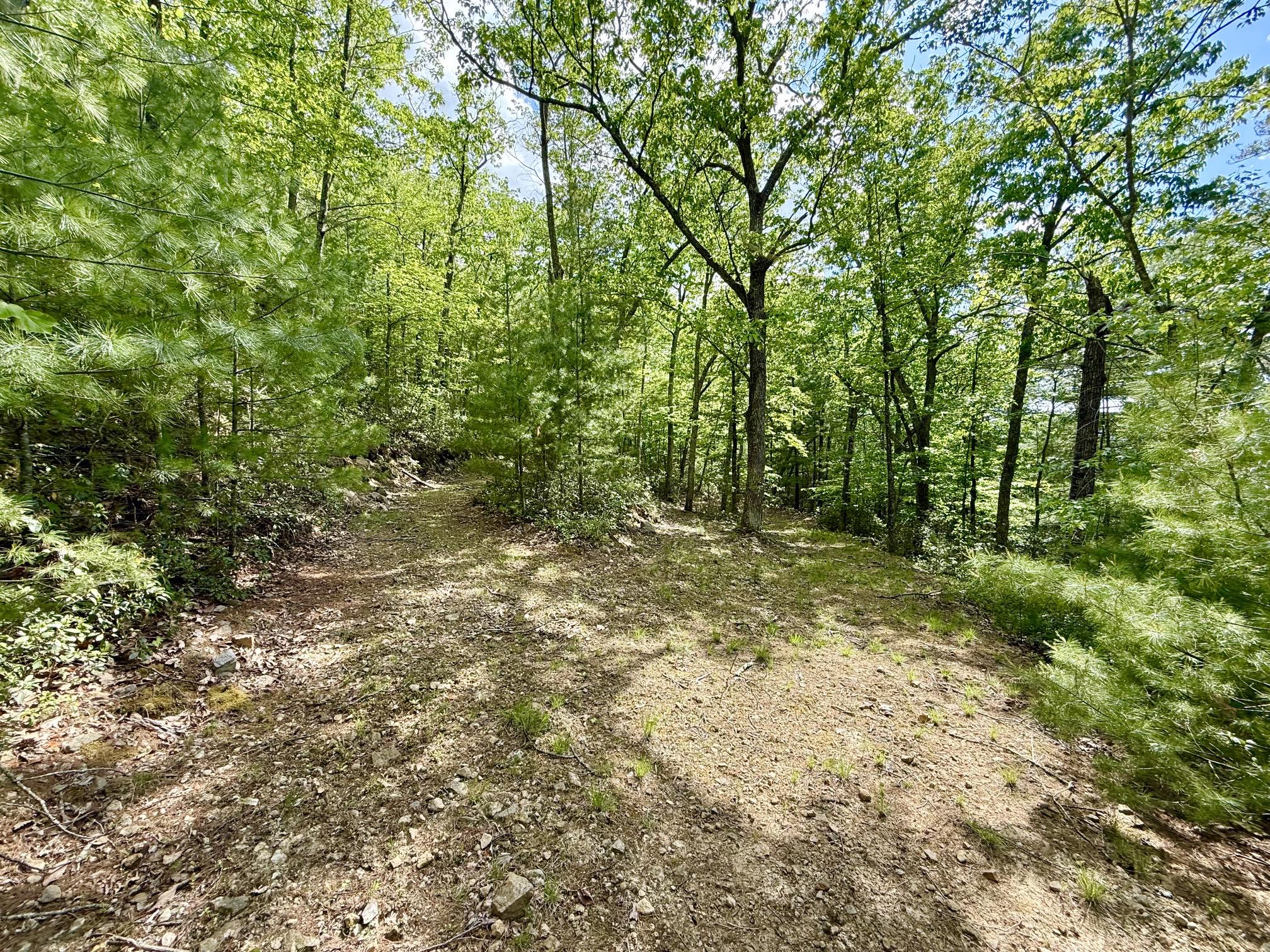 Hawks Ridge Road Franklin, WV 26807 - Photo 3 of 5