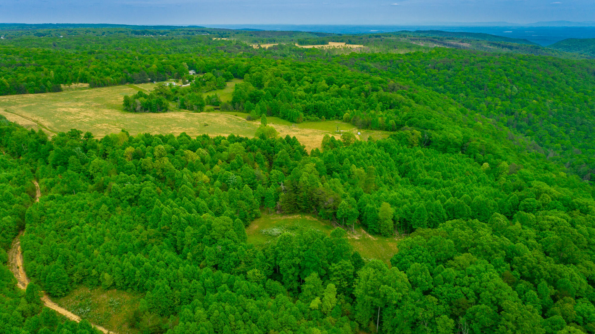 0 Ray Gadd Road Graysville, TN 37338 - Photo 18 of 109 Ray Gadd Road Lot HD-96