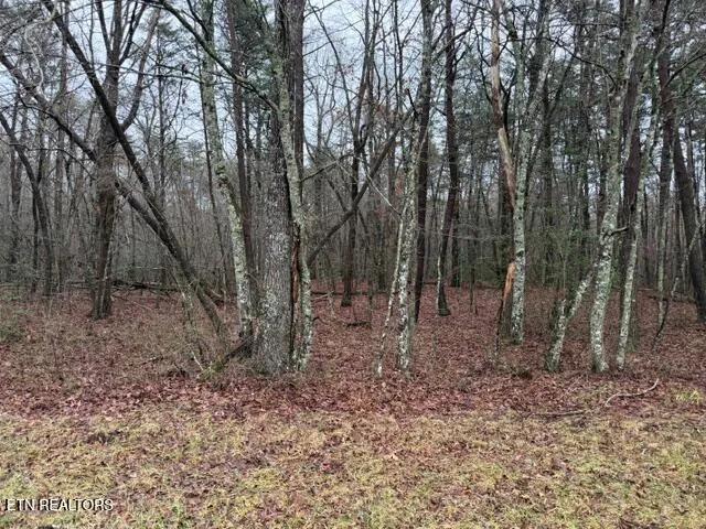 $11,500 | Lot 5 Cumberland Lakes Drive, Monterey, TN 38574
