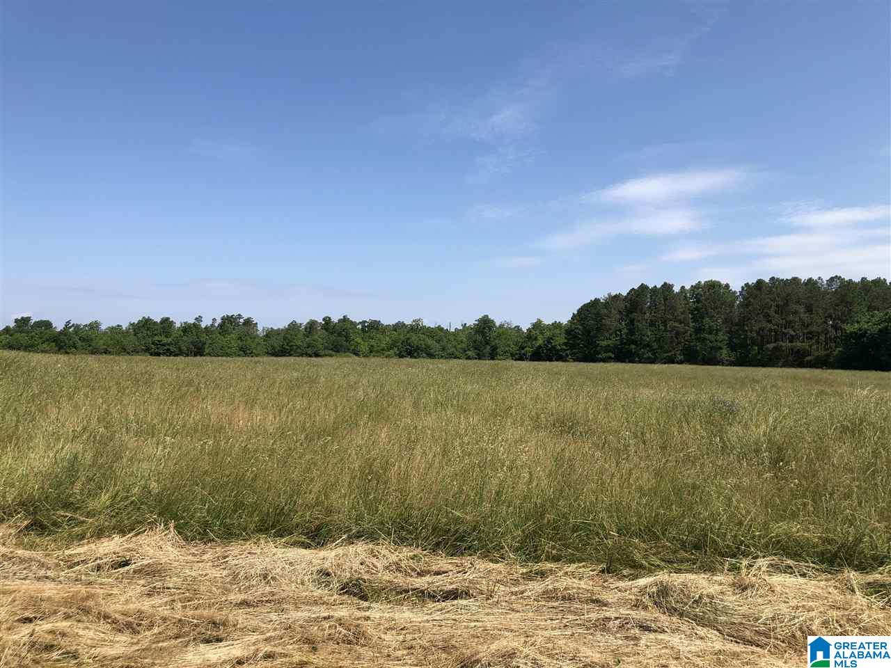 0 County Road 642 Henagar, AL 35978 - Photo 9 of 9