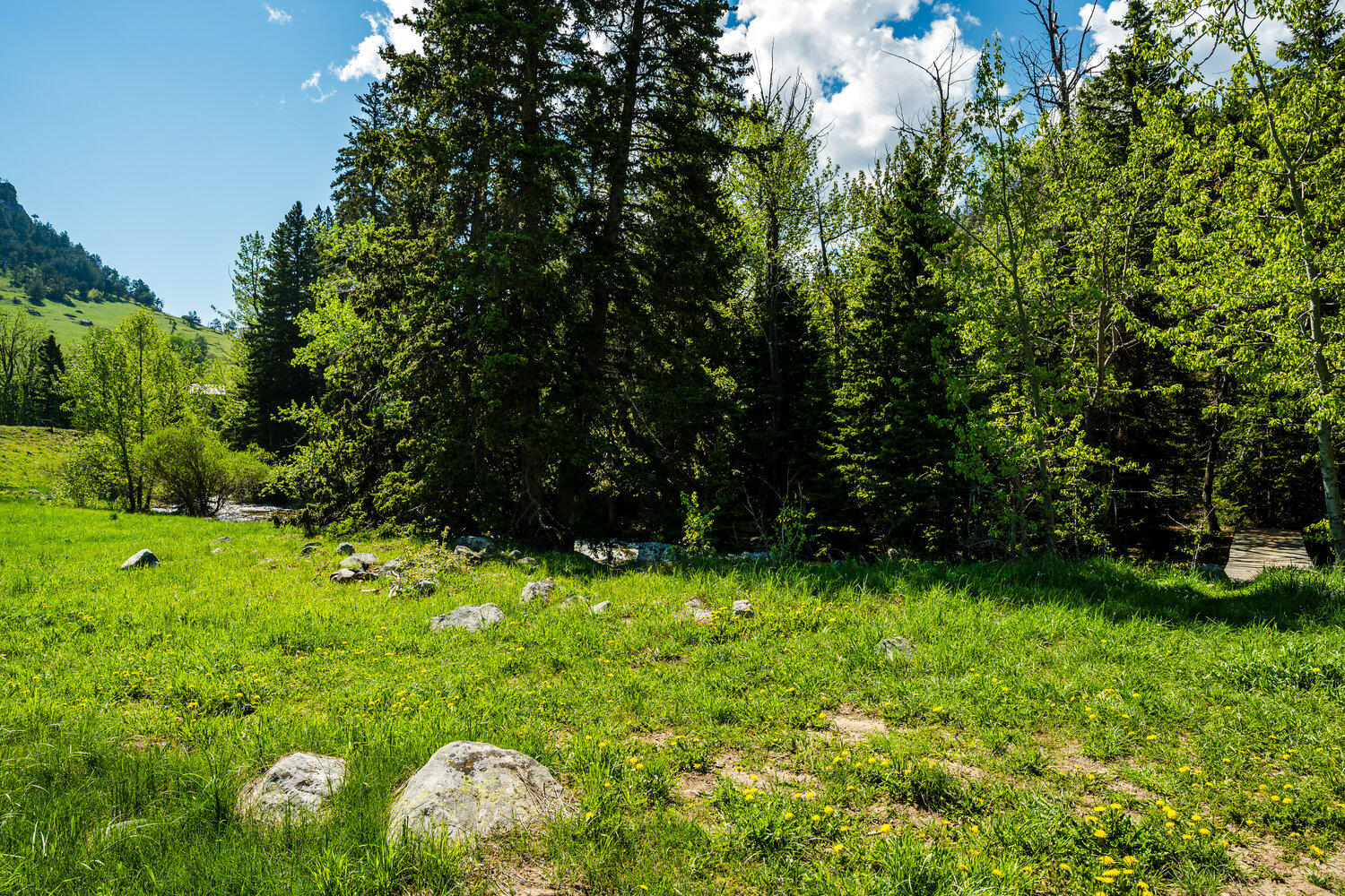 77 Blacktooth Road Big Horn, WY 82833 - Photo 36 of 61 054_dsc_8700_873