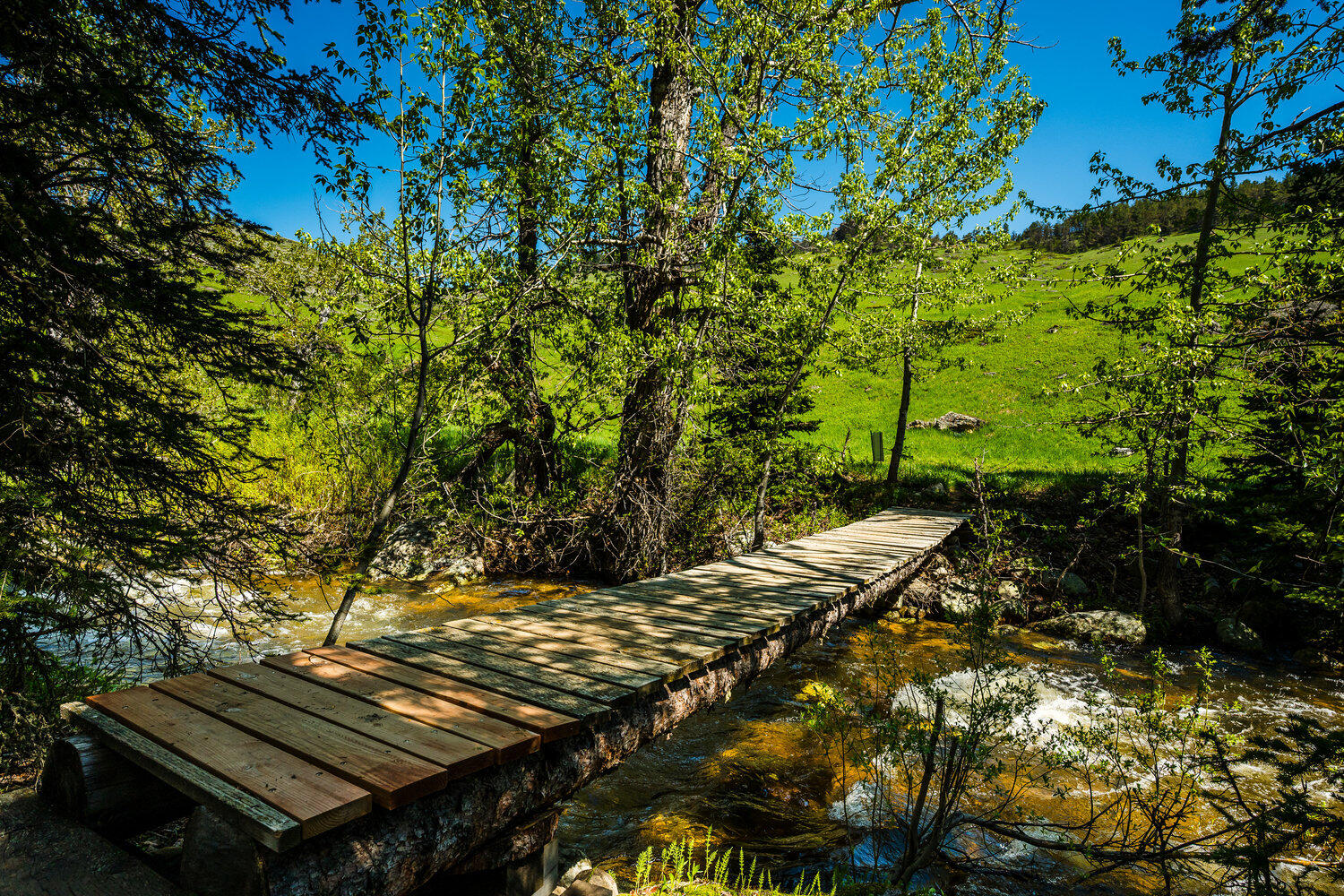 77 Blacktooth Road Big Horn, WY 82833 - Photo 40 of 61 058_dsc_8704_416