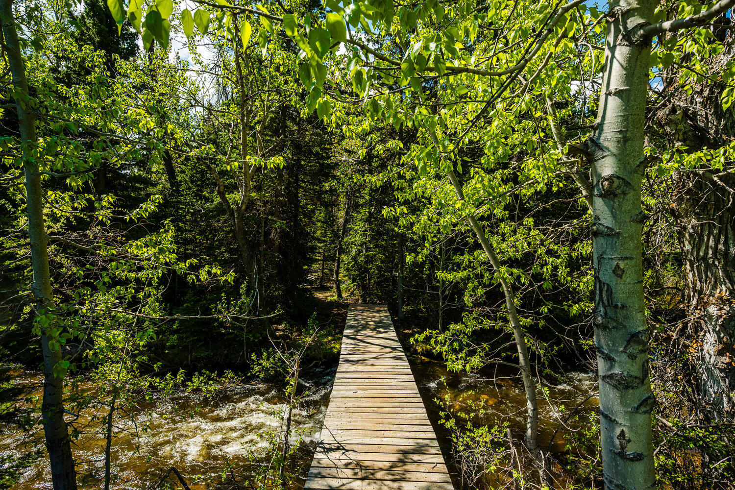 77 Blacktooth Road Big Horn, WY 82833 - Photo 43 of 61 055_dsc_8701_312