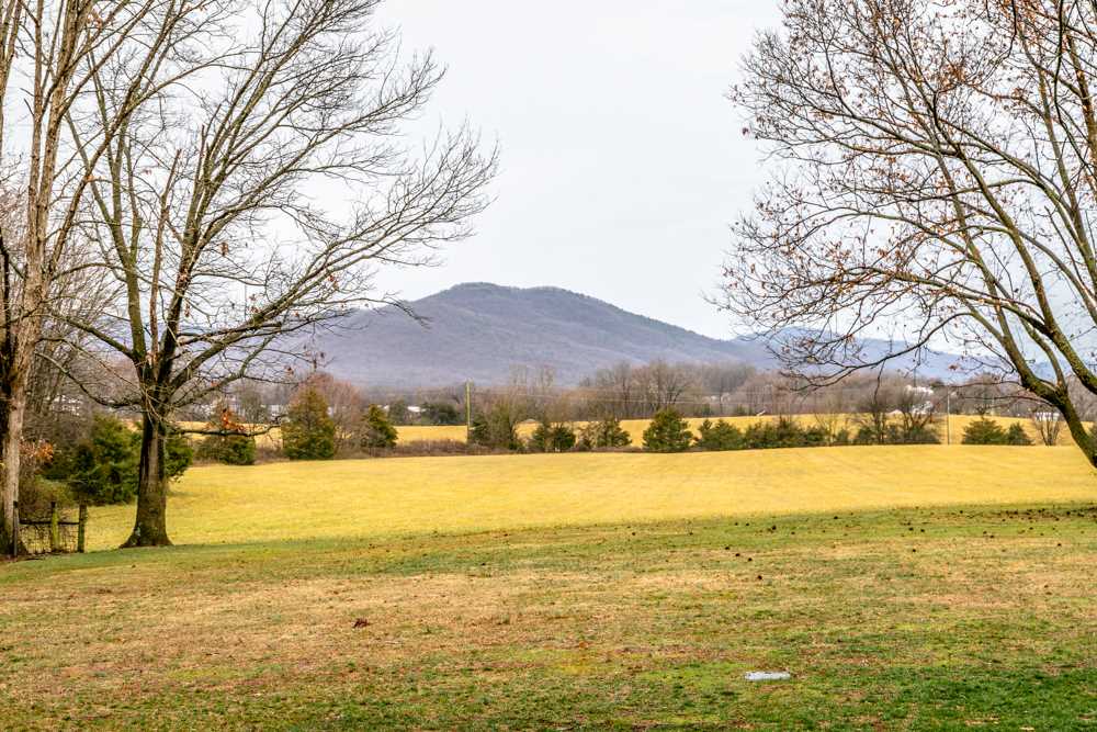 2036 Samuels Road Elkton, VA 22827 - Photo 43 of 50 Gallery Image 43