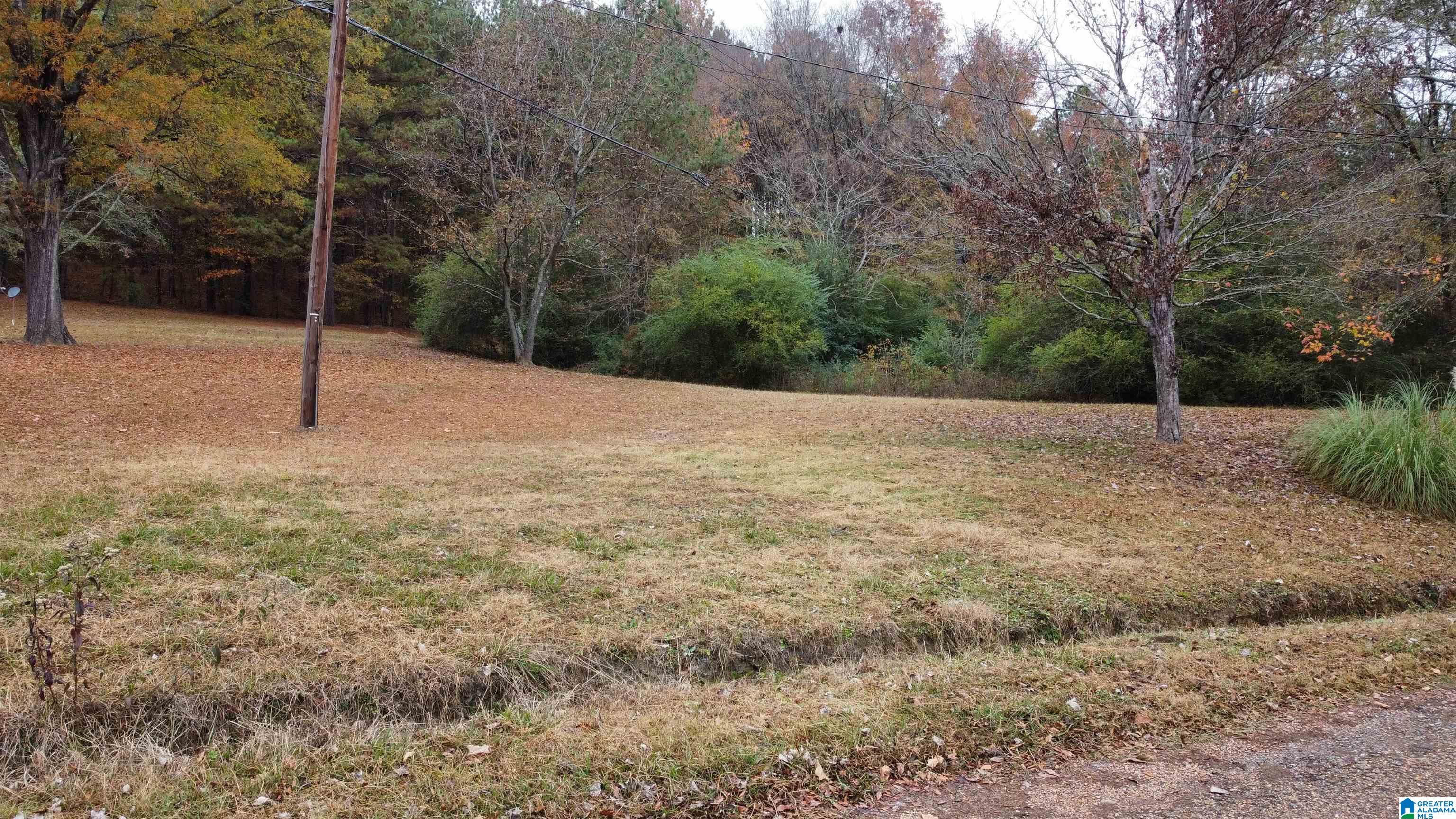 385 Jackson Street, Unit 385 Oakman, AL 35579 - Photo 3 of 19