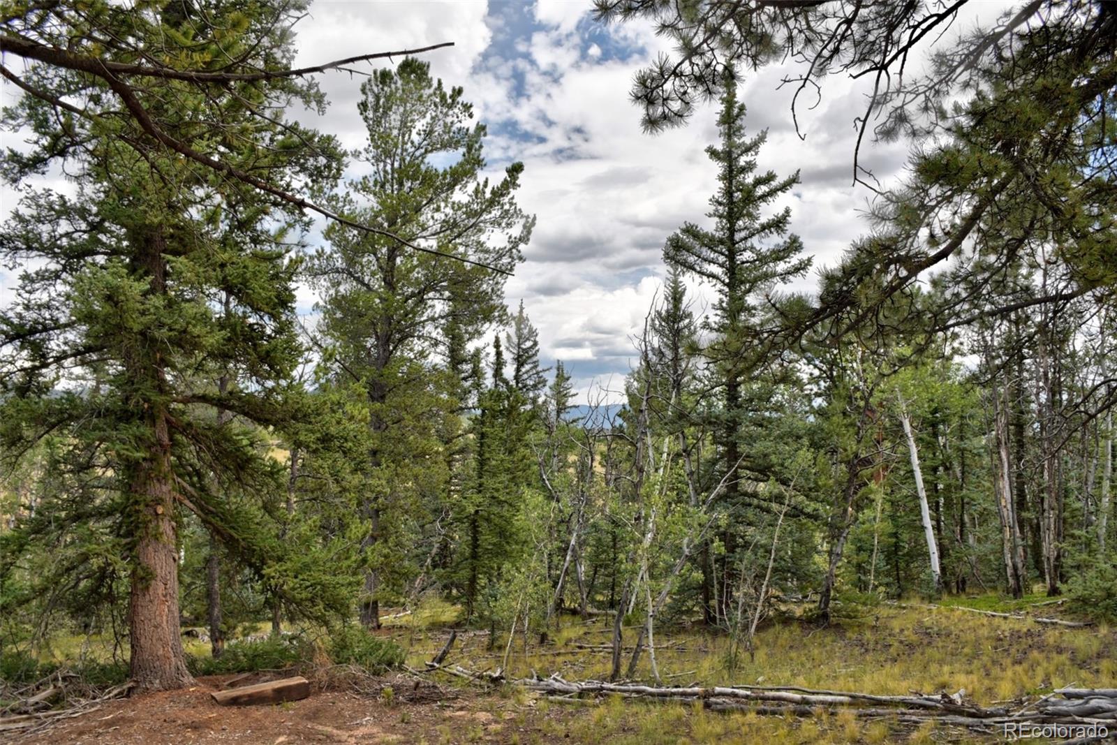 167 Smith And Wesson Road Como, CO 80432 - Photo 1 of 21 Gallery Image 1