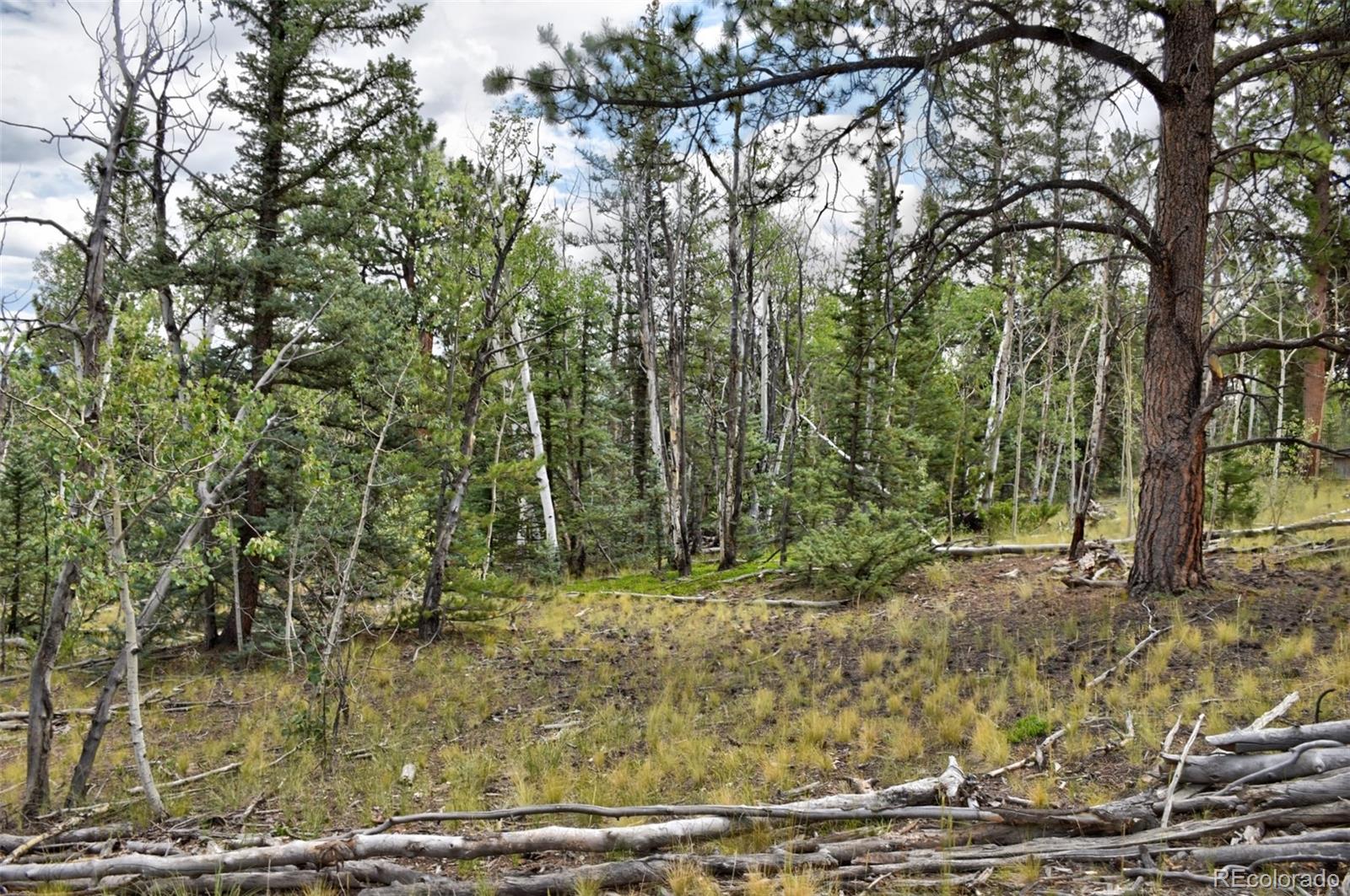 167 Smith And Wesson Road Como, CO 80432 - Photo 11 of 21 Gallery Image 11