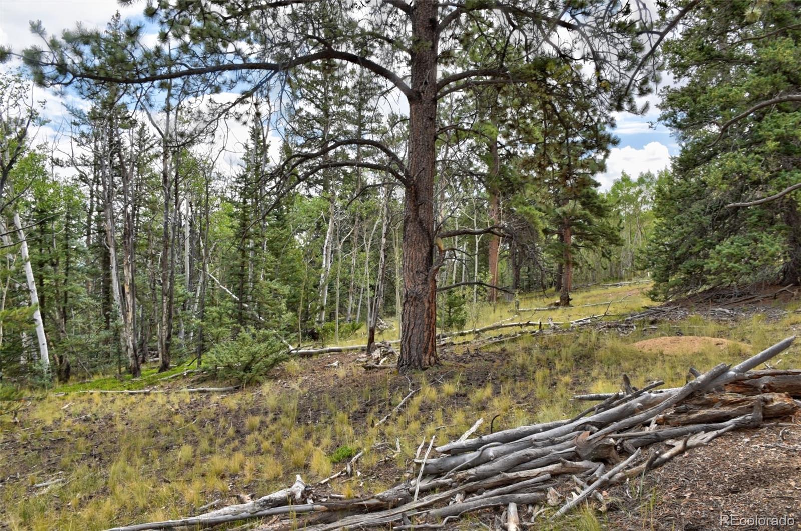 167 Smith And Wesson Road Como, CO 80432 - Photo 12 of 21 Gallery Image 12