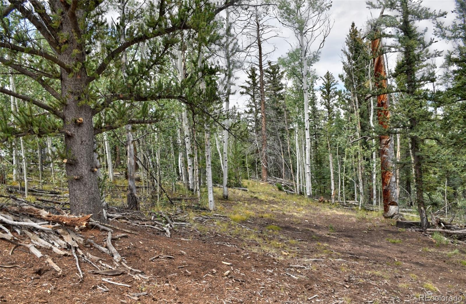 167 Smith And Wesson Road Como, CO 80432 - Photo 13 of 21 Gallery Image 13