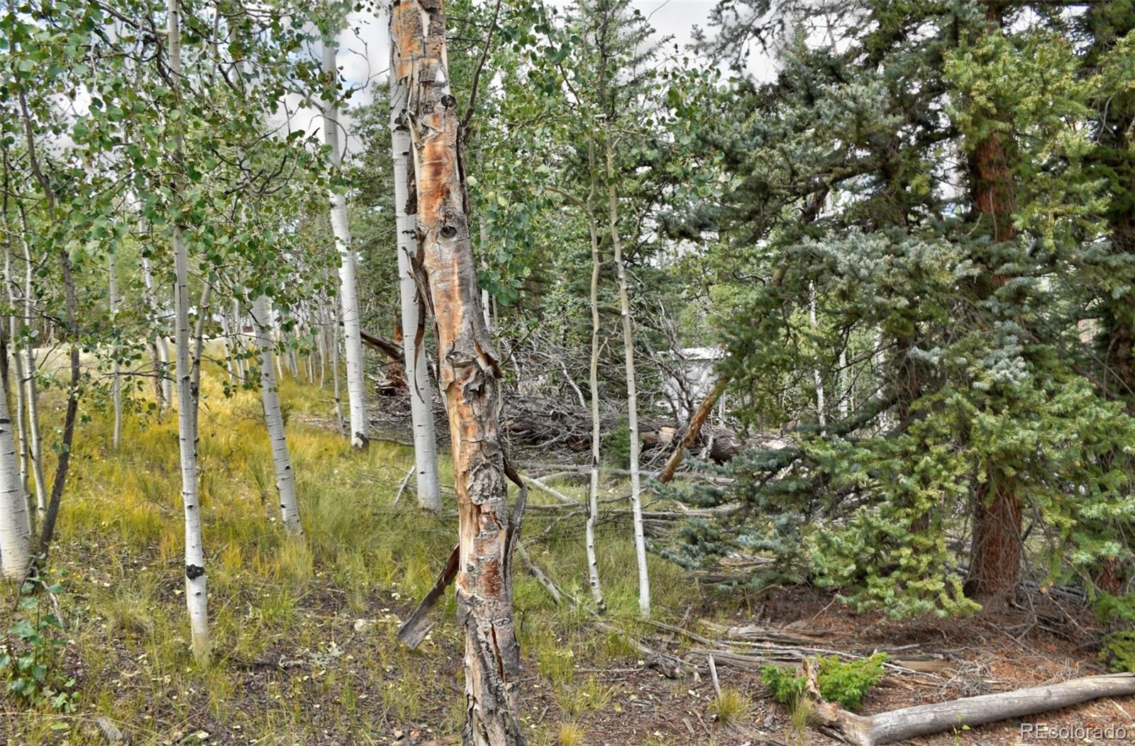 167 Smith And Wesson Road Como, CO 80432 - Photo 14 of 21 Gallery Image 14