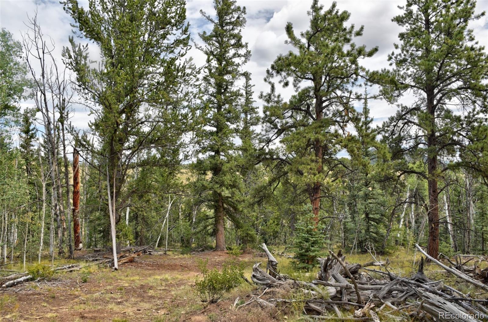 167 Smith And Wesson Road Como, CO 80432 - Photo 16 of 21 Gallery Image 16