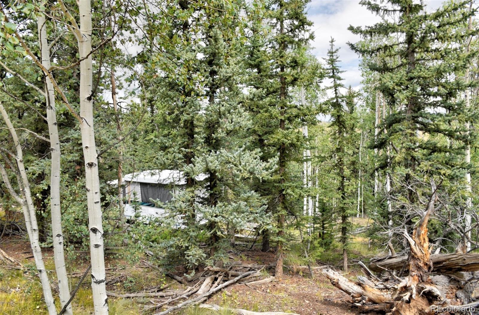 167 Smith And Wesson Road Como, CO 80432 - Photo 17 of 21 Gallery Image 17