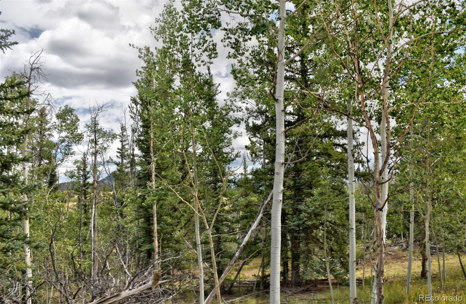 167 Smith And Wesson Road Como, CO 80432 - Photo 19 of 21 Gallery Image 19
