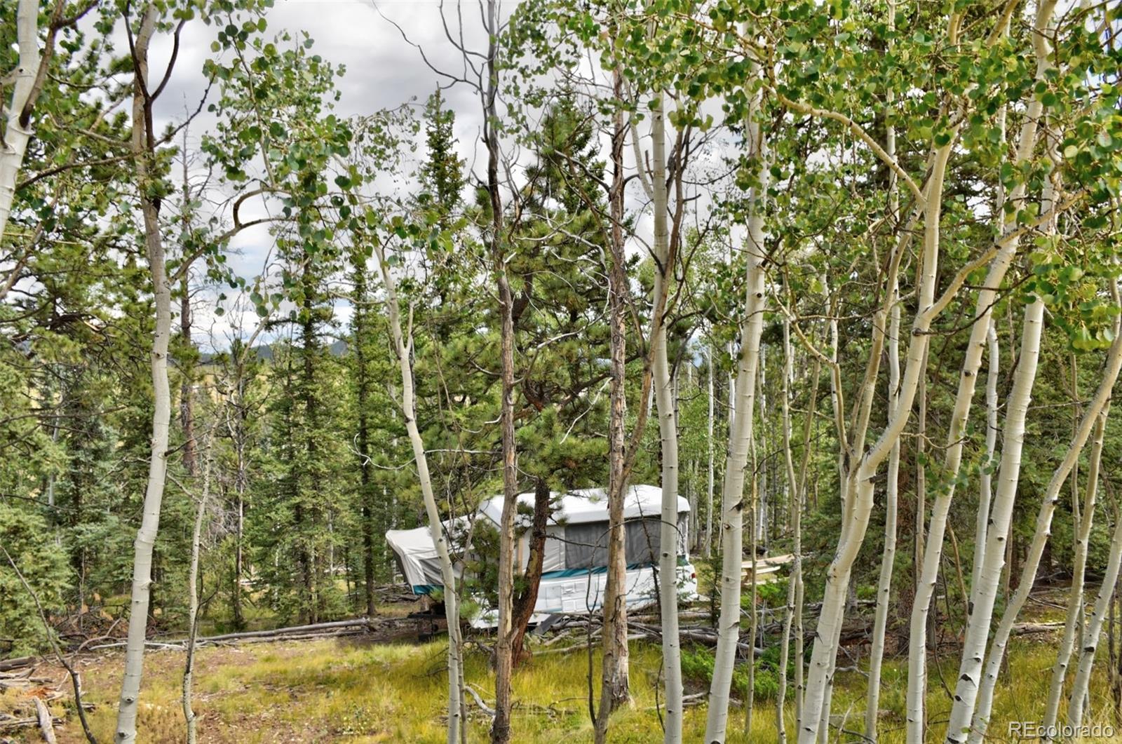 167 Smith And Wesson Road Como, CO 80432 - Photo 20 of 21 Gallery Image 20
