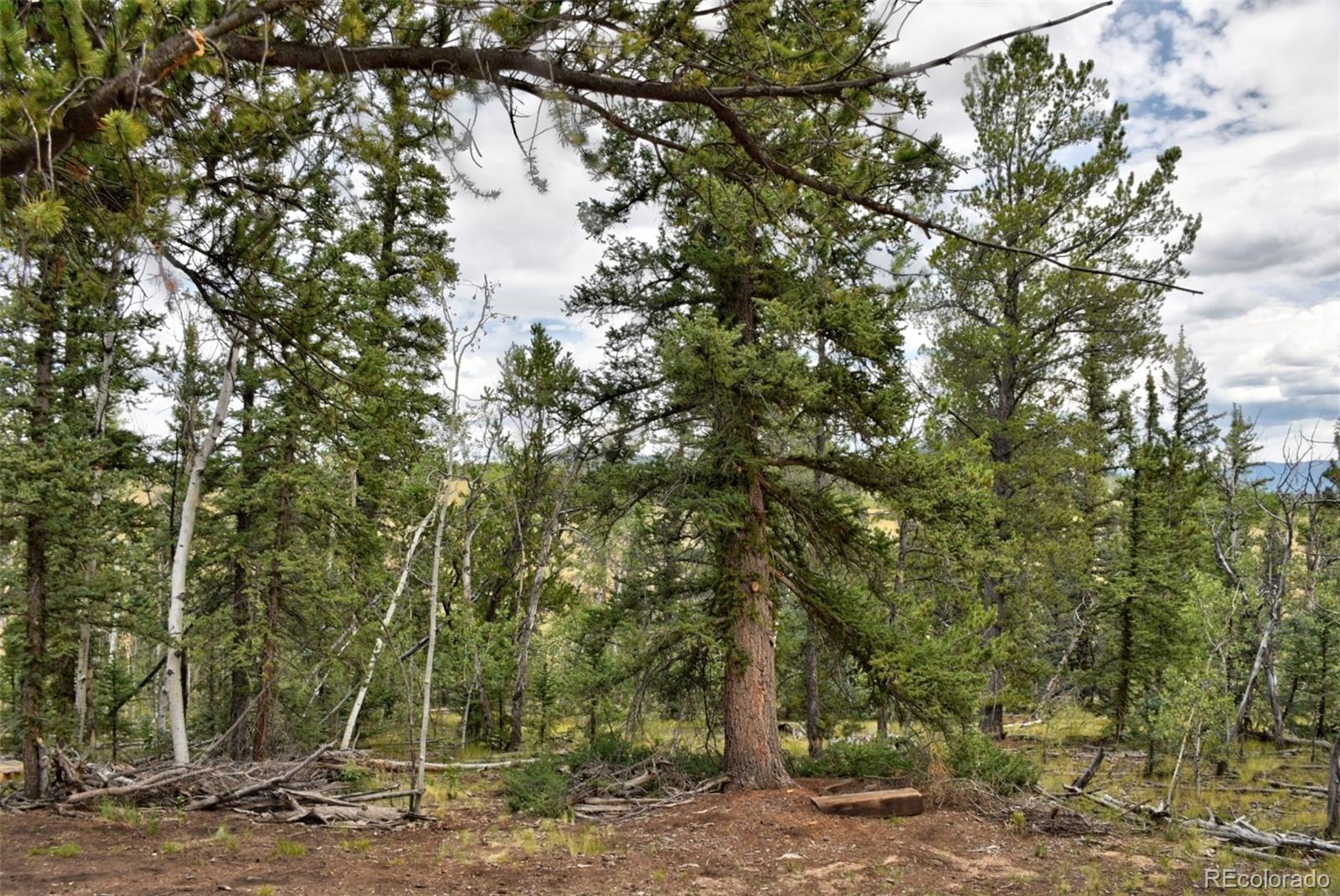 167 Smith And Wesson Road Como, CO 80432 - Photo 2 of 21 Gallery Image 2