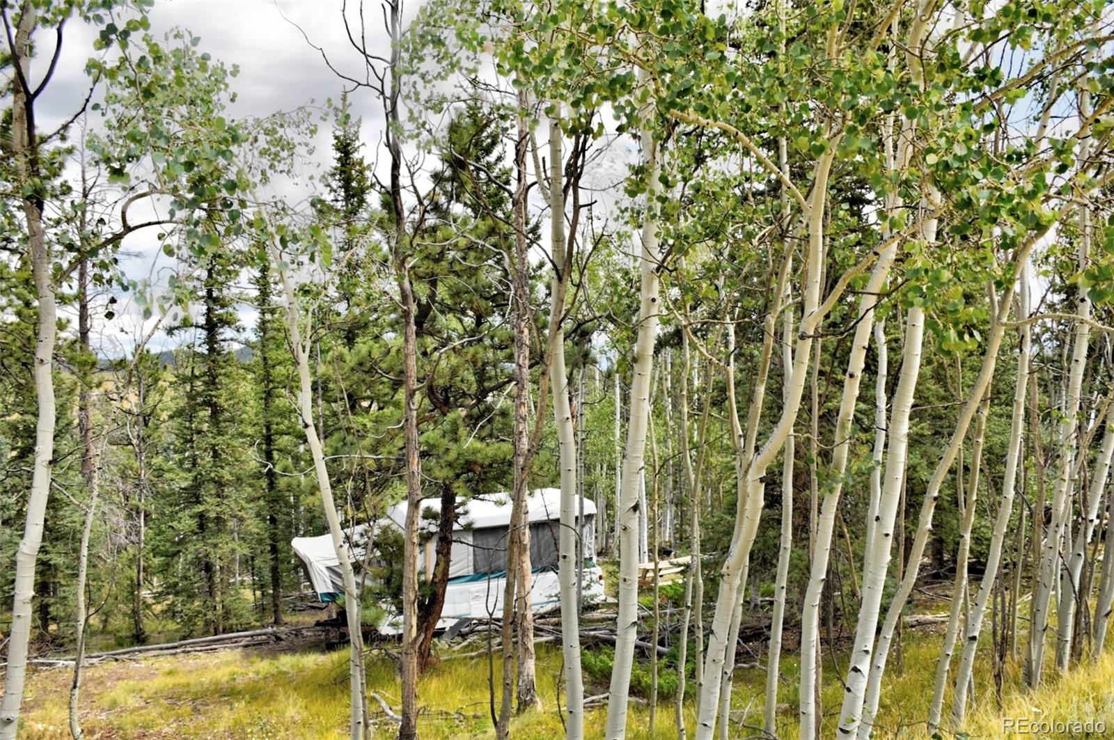 167 Smith And Wesson Road Como, CO 80432 - Photo 21 of 21 Gallery Image 21