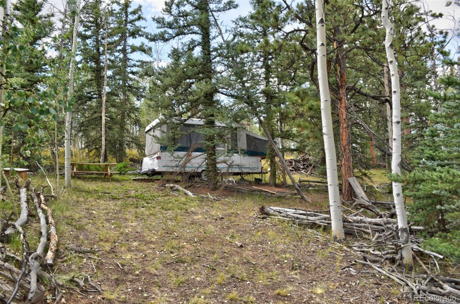 167 Smith And Wesson Road Como, CO 80432 - Photo 3 of 21 Gallery Image 3