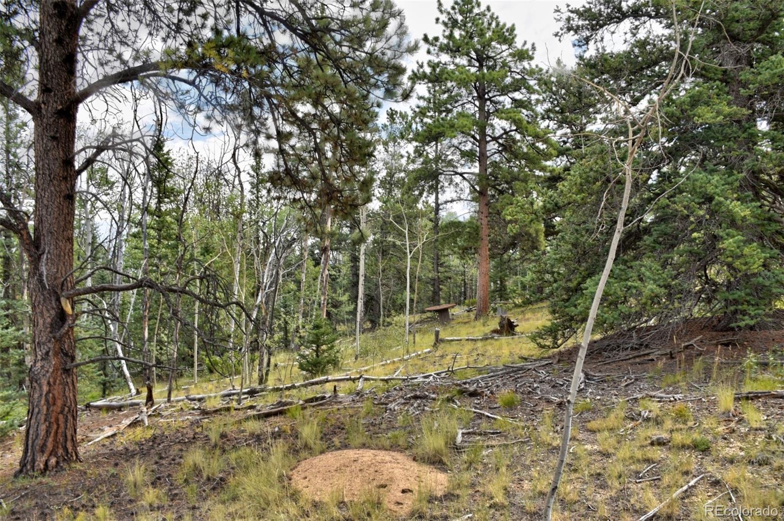 167 Smith And Wesson Road Como, CO 80432 - Photo 9 of 21 Gallery Image 9