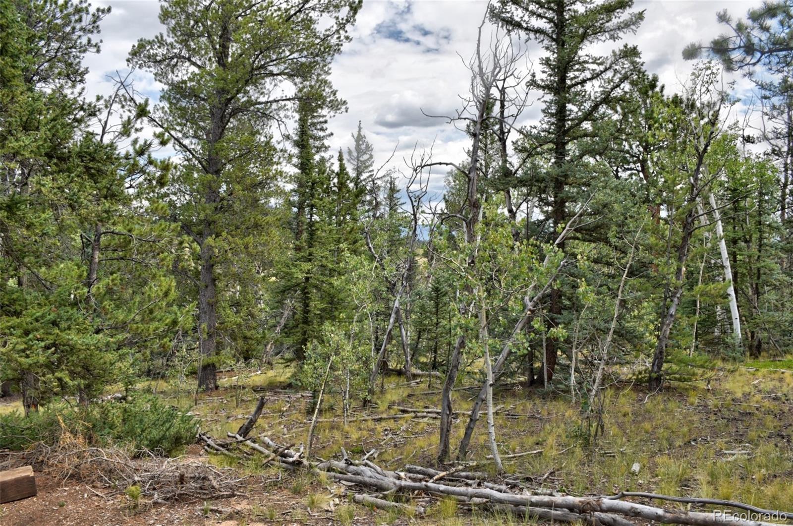 167 Smith And Wesson Road Como, CO 80432 - Photo 10 of 21 Gallery Image 10
