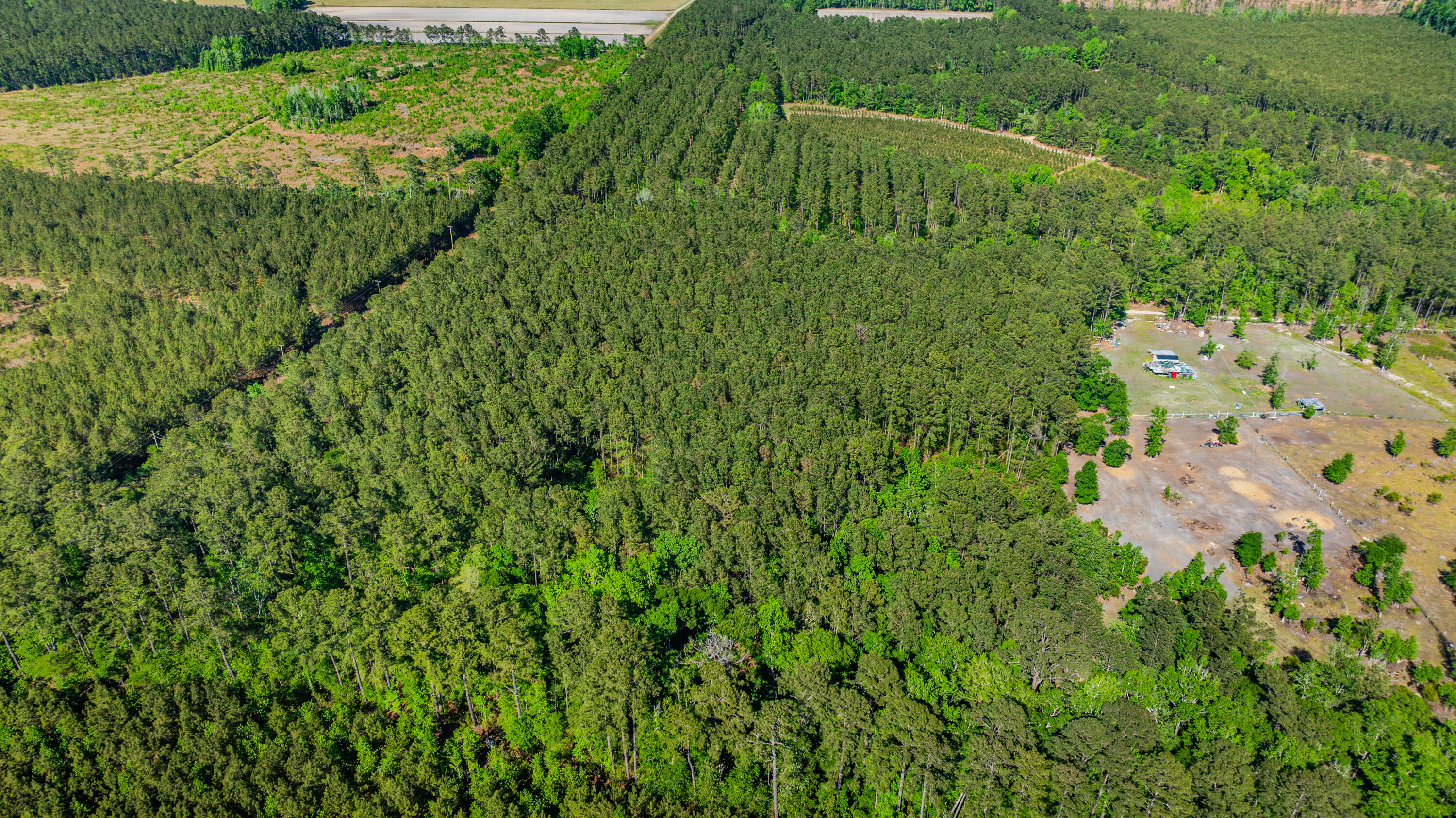 0 Crews Cemetary Road Varnville, SC 29944 - Photo 14 of 17 DJI_0565