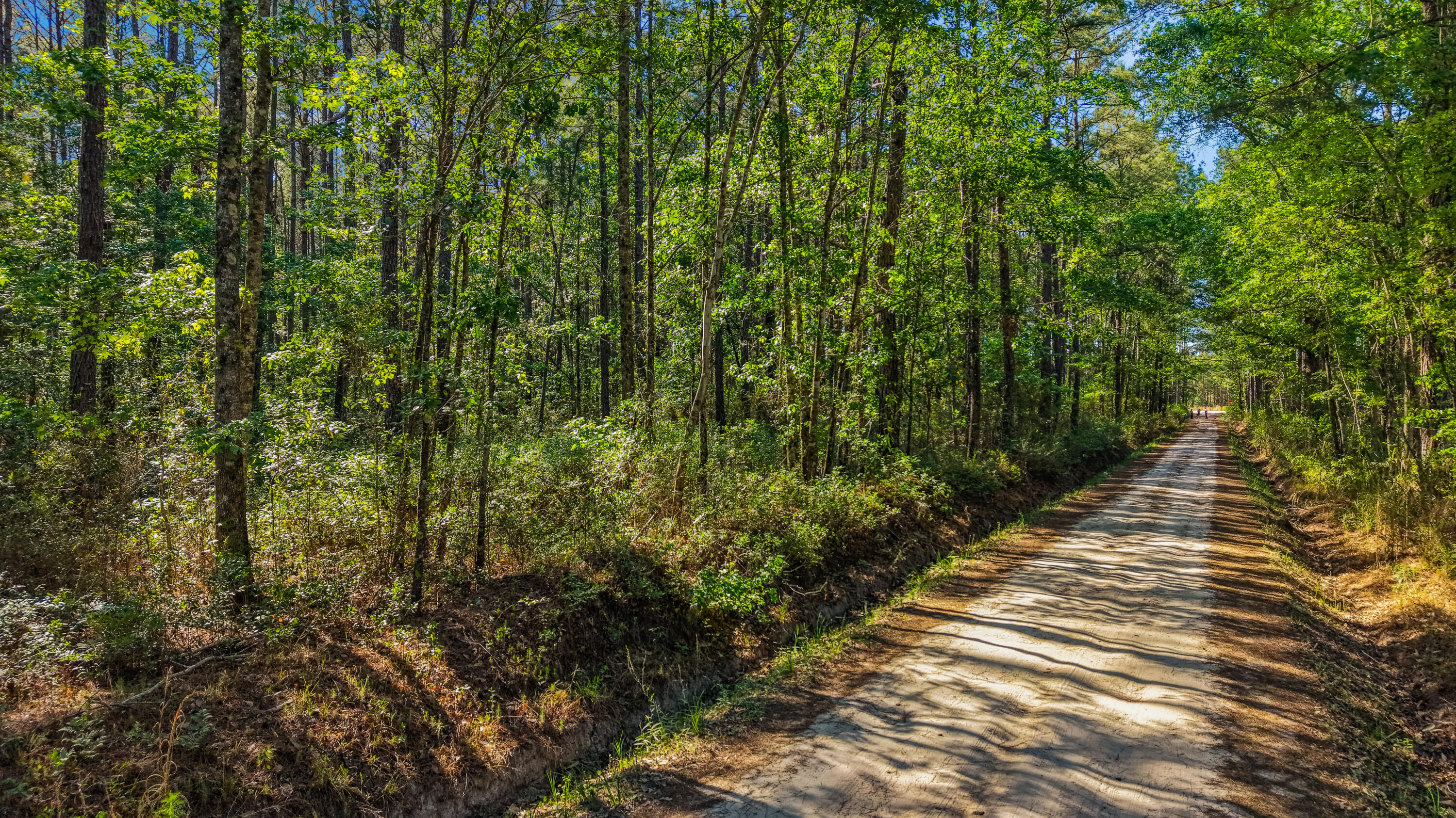 0 Crews Cemetary Road Varnville, SC 29944 - Photo 2 of 17 dji_fly_20260420_170054_0003_17767292264