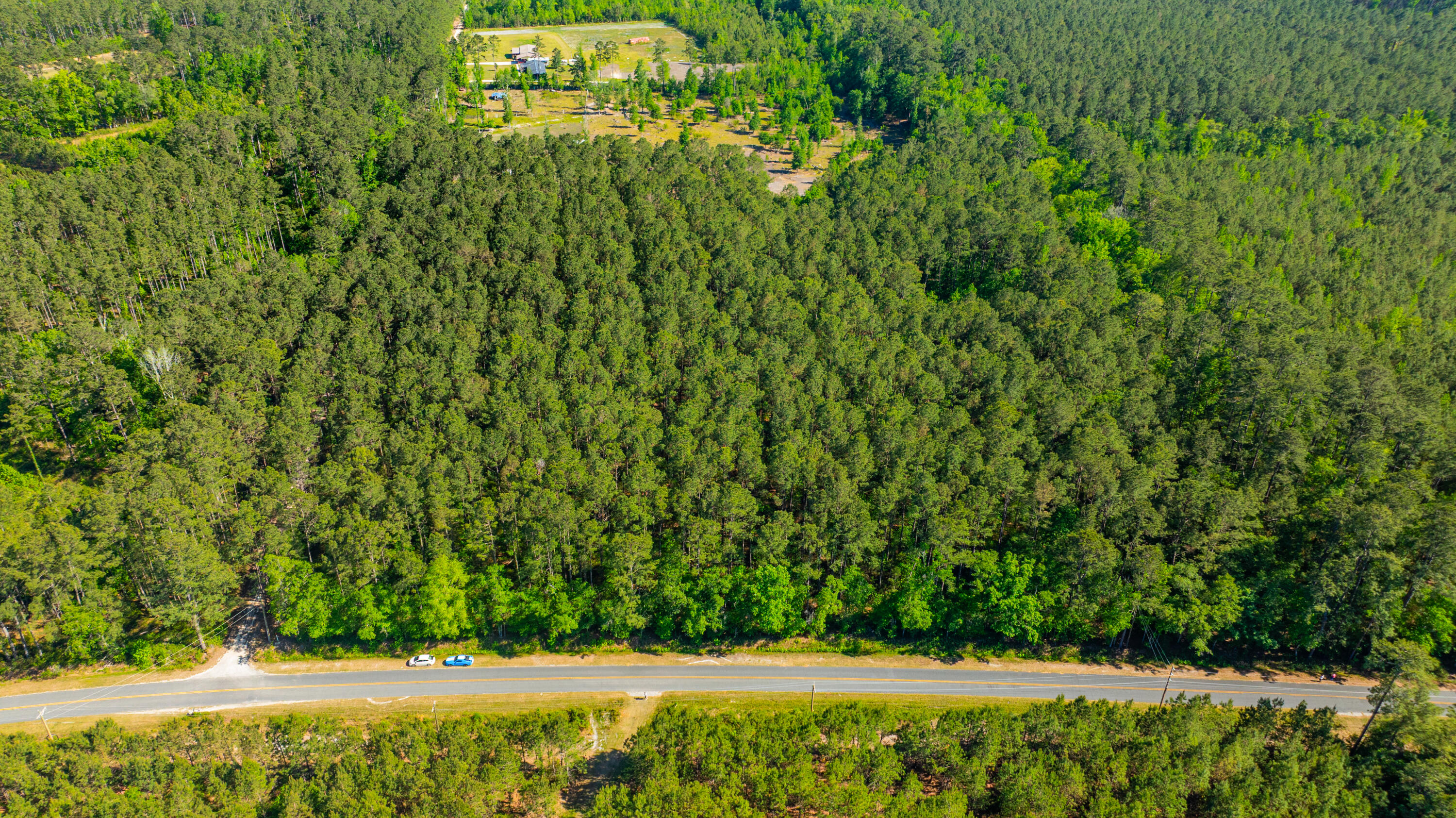 0 Crews Cemetary Road Varnville, SC 29944 - Photo 5 of 17 DJI_0561