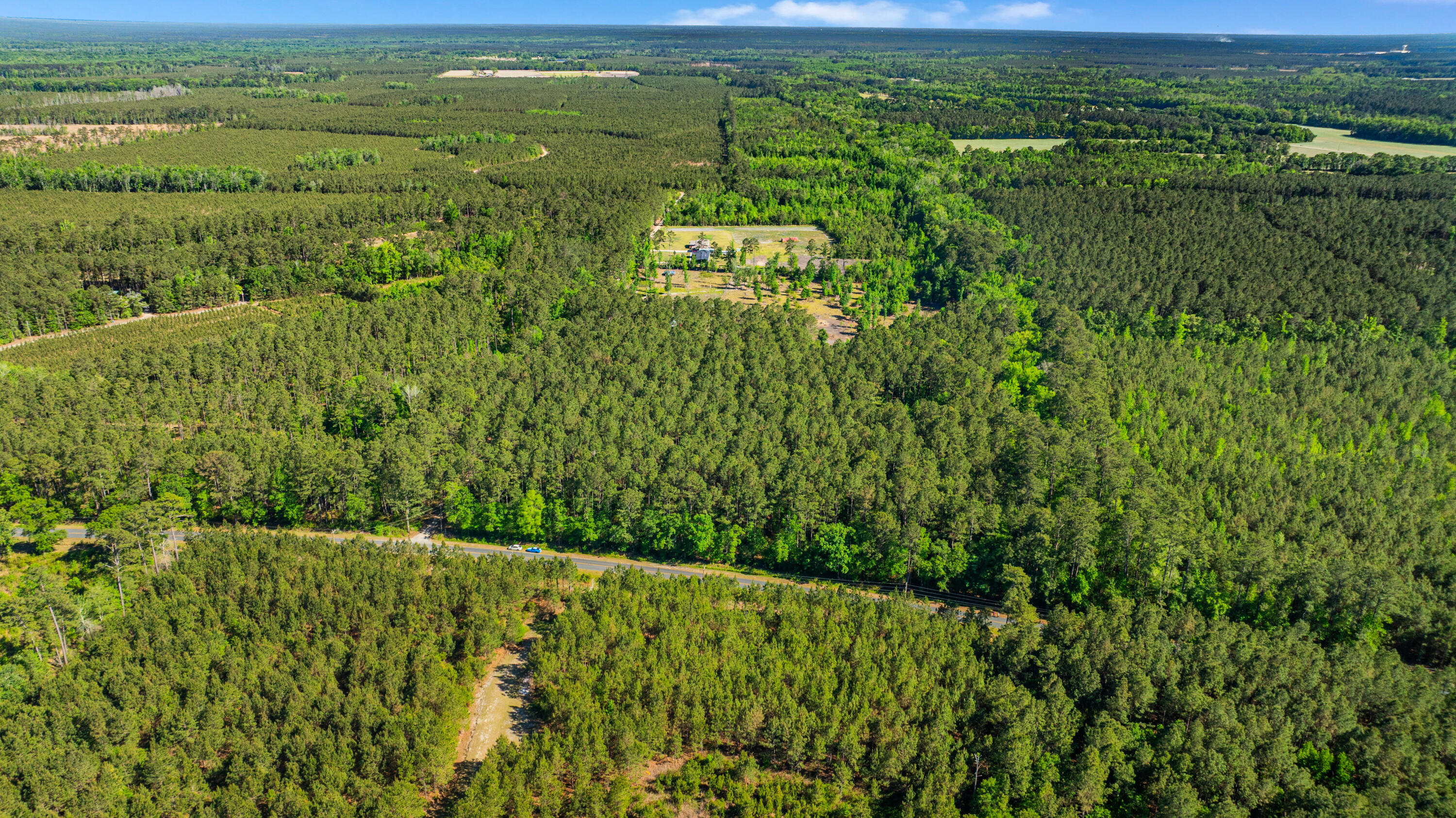 0 Crews Cemetary Road Varnville, SC 29944 - Photo 9 of 17 DJI_0564