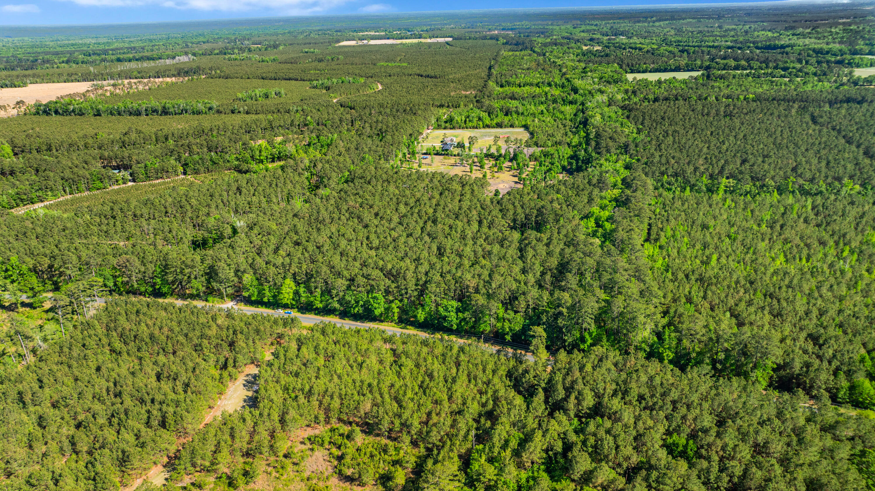0 Crews Cemetary Road Varnville, SC 29944 - Photo 10 of 17 DJI_0563