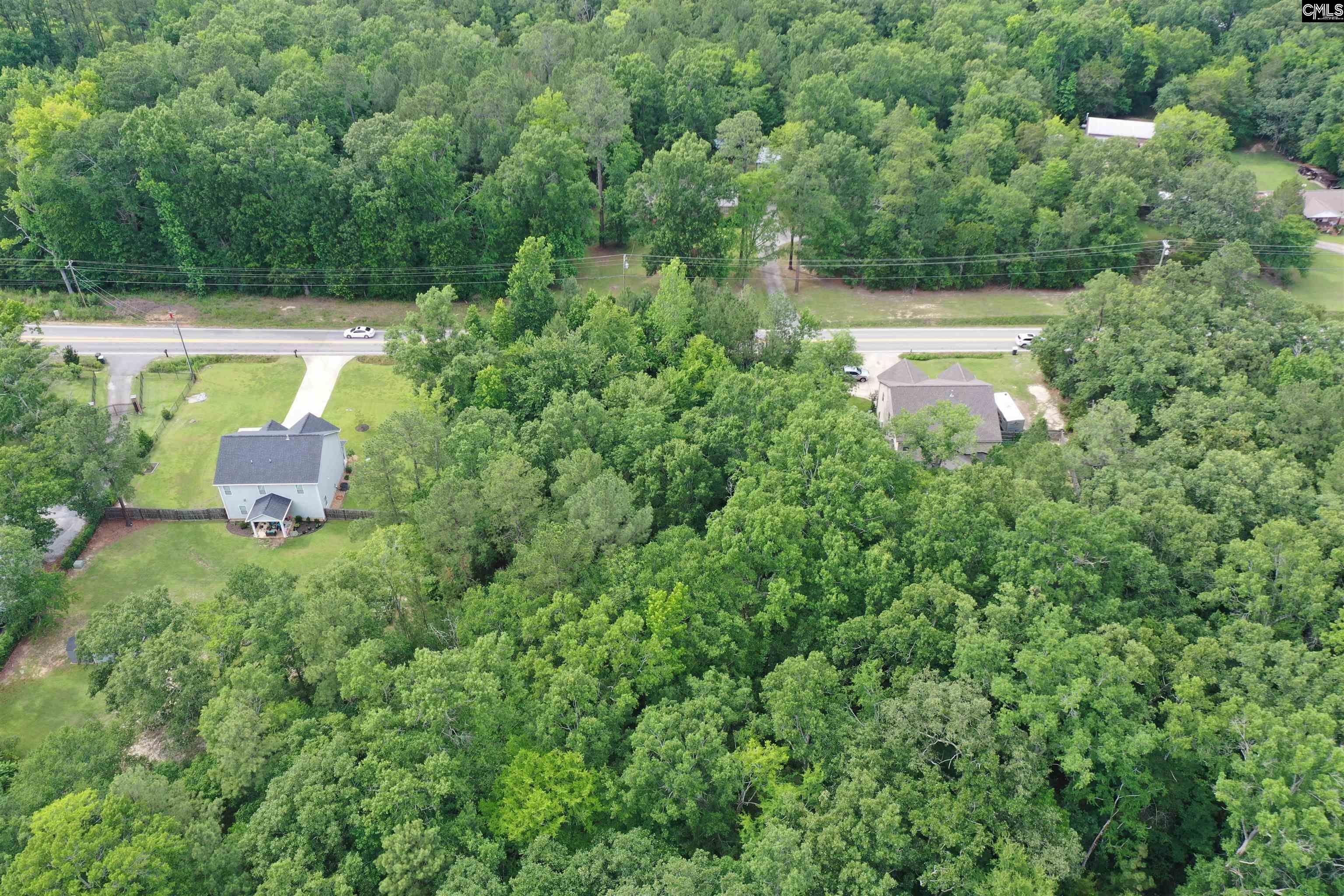 743 Amicks Ferry Road Chapin, SC 29036 - Photo 6 of 11