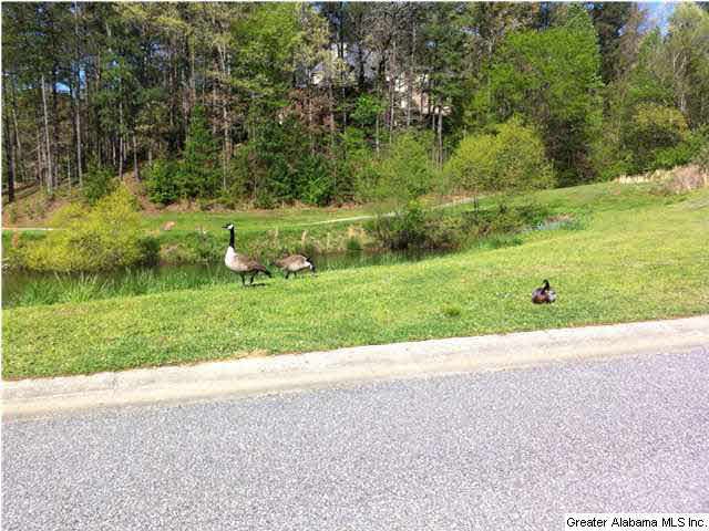 372 Turnberry Road Birmingham, AL 35244 - Photo 3 of 25