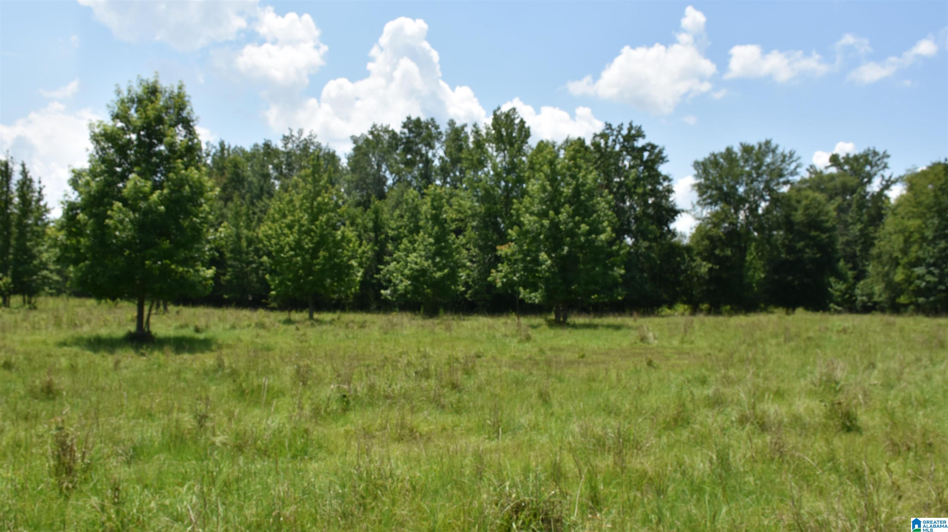 0 Risers Mill Road Alpine, AL 35014 - Photo 18 of 25