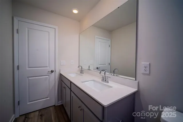 a bathroom with a sink toilet and vanity