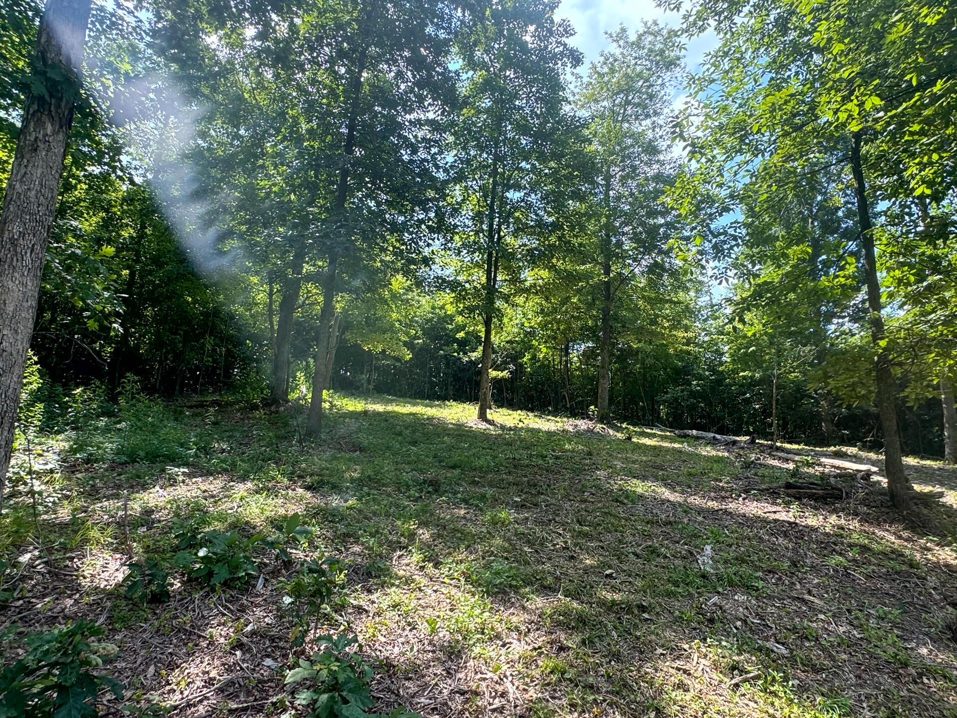 114 Golf Course Road, Unit TRACT 11 SKYLINE ACRES) Waverly, OH 45690 - Photo 14 of 37 CT-14