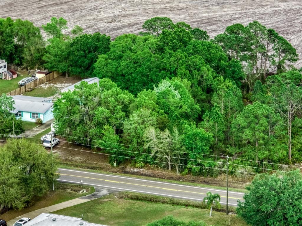 4814 Lakewood Road Sebring, FL 33875 - Photo 15 of 17 a view of yard with green space