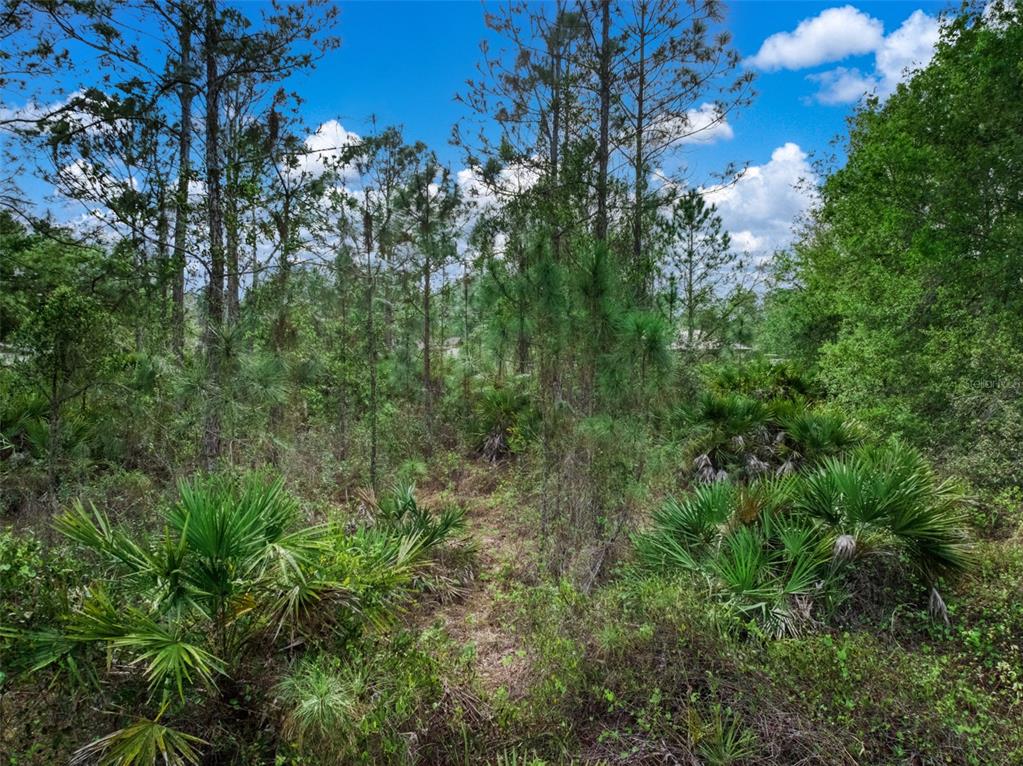 4814 Lakewood Road Sebring, FL 33875 - Photo 17 of 17