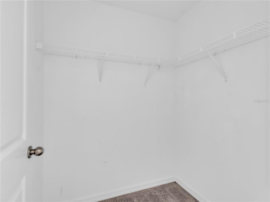 16568 Delia Street Wimauma, FL 33598 - Photo 17 of 44