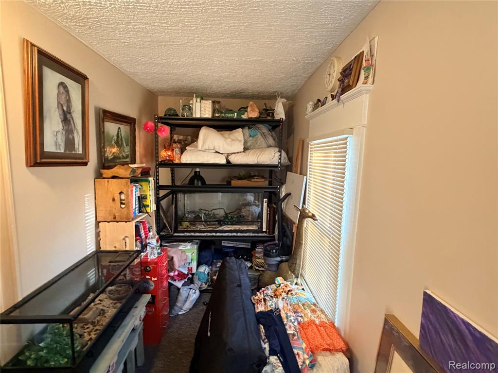 6038 Byron Road Howell, MI 48855 - Photo 20 of 24